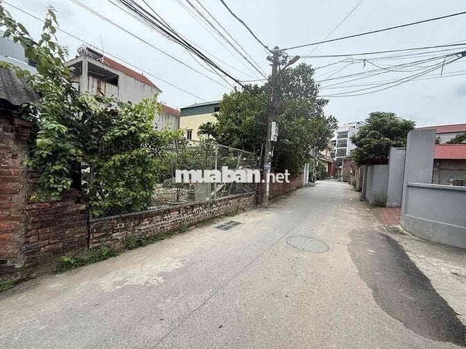 CHÍNH CHỦ GỬI BÁN ĐẤT FULL THỔ CƯ  VÂN NỘI ĐÔNG ANH HN- GẦN VÕ NGUYÊN