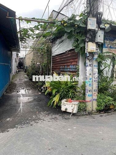 BÁN ĐẤT TẶNG 56 PHÒNG TRỌ ĐANG CHO THUÊ FULL,NGAY NHÀ HÀNG BẾN XƯA