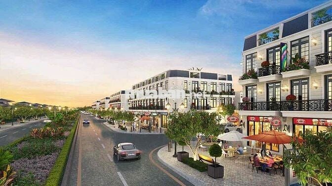 Đầu tư vàng giữa lòng bầu bàng