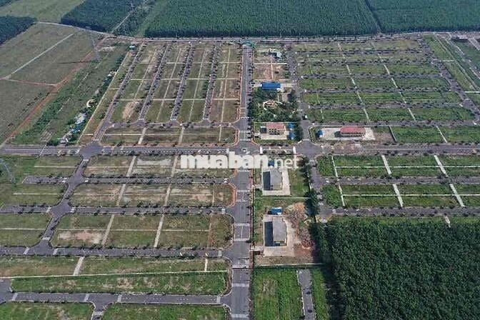 Đầu tư vàng giữa lòng bầu bàng