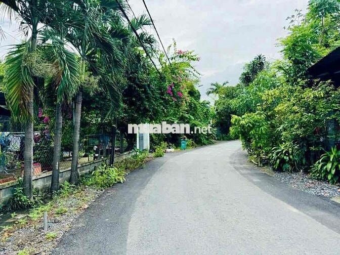 Bán đất tại đường số 418, Củ Chi 200m2, sổ đỏ Giá chỉ 650Tr