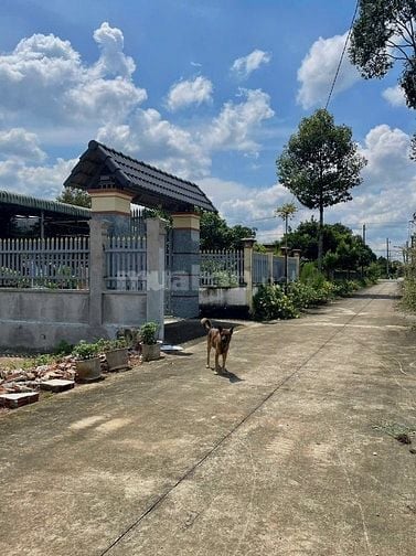 Kẹt tiền bán đất Ngộp ở Phước Thành-TPHCM, DT 550m2 thổ cư, Sổ sẳn