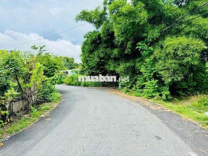 Bán đất tại đường số 418, Củ Chi 200m2, sổ đỏ Giá chỉ 650Tr