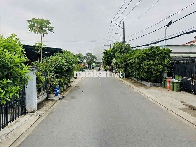 CHỦ NGỘP BÁN GẤP LÔ GÓC 2MT THỊ TRẤN CỦ CHI 250m2 900TR  SHR FUL THỔ