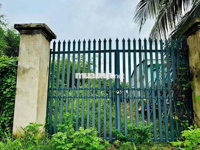 Bán đất tại đường số 418, Củ Chi 200m2, sổ đỏ Giá chỉ 650Tr