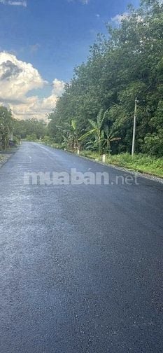 Chính chủ cần bán mặt tiền đường 