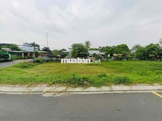 CHỦ NGỘP BÁN GẤP LÔ GÓC 2MT THỊ TRẤN CỦ CHI 250m2 900TR  SHR FUL THỔ