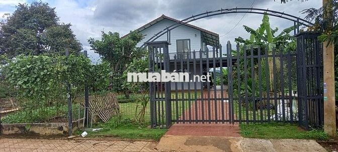 CHÍNH CHỦ THANH LÝ GẤP CĂN HOMESTAY TẠI DI LINH, SỔ SẴN, DT300M2/768TR