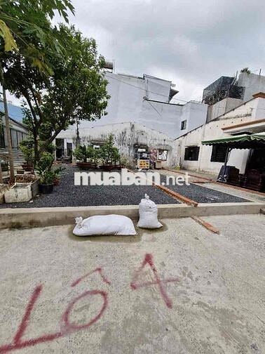 Đất trống ngay CĐ Công Nghệ Thủ Đức ngang LỚN 5.5M 145M2 chỉ 11.9 tỉ