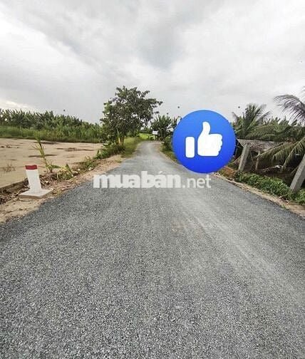 💥💥Chỉ 420 triệu sở hữu ngay lô đất tại xã Bình Phước, Vĩnh Long 💥💥