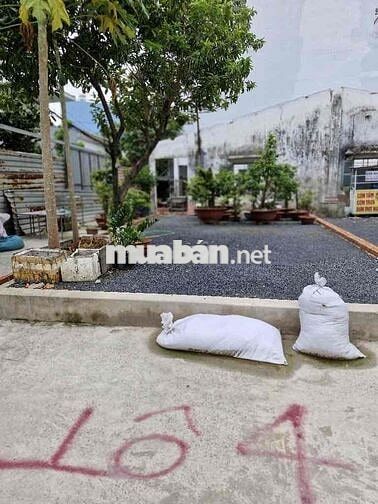 Đất trống ngay CĐ Công Nghệ Thủ Đức ngang LỚN 5.5M 145M2 chỉ 11.9 tỉ