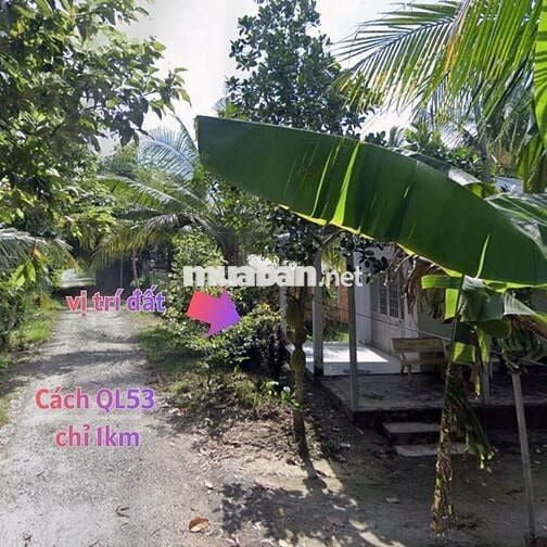 💥💥Chỉ 250 triệu sở hữu ngay lô đất ấp Tân Hiệp, Tân Long, Mang Thít 💥💥