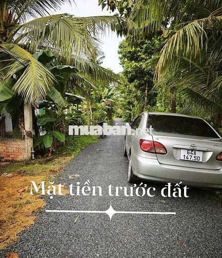 💥💥Chỉ 250 triệu sở hữu ngay lô đất ấp Tân Hiệp, Tân Long, Mang Thít 💥💥