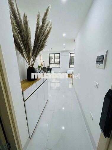 Phòng 35m2, 2 cửa sổ trời, Hoàng Hoa Thám, Bình Thạnh, Gần Q1, Q3