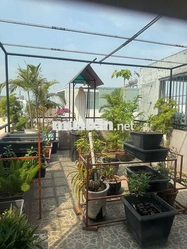 Giảm 700tr bán nhà 77m2, hẻm 6m, 3 tầng, thu 15tr đường Quang Trung