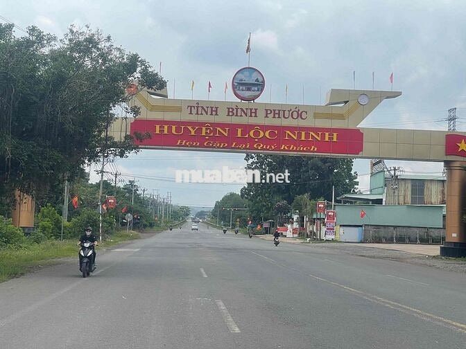 Đất chính chủ có sổ riêng sẵn sang tên công chứng