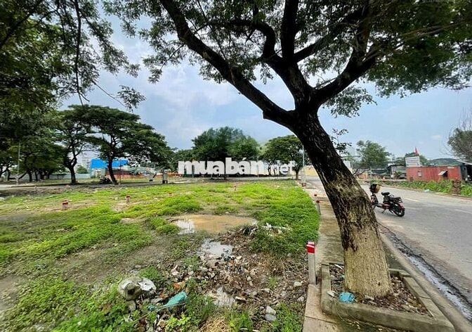 Cần bán đất tại khu biệt thự Thới An, 6,5 tỷ, 90 m2, 5m mặt tiền