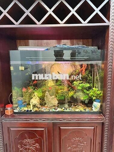 BÁNNHÀ ĐẦU PHỐ TRIỀU KHÚC🏡Ô TÔ ĐỖ GẦN🌹190tr/m2-NÓI KHÔNG VỚI QUY HOẠCH