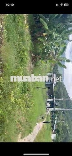 Bán đất cây láu năm, mặt tiền 14m QL 1, Vĩnh Lương, gần biền. 1,3 tỷ