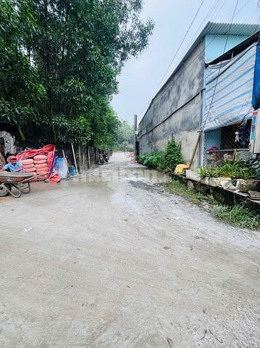 BÁN ĐẤT TRẢNG DÀI MỚI, giá rẻ 