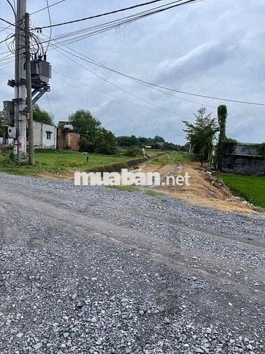 Hàng mới ra lò chưa qua đầu tư thơm Phức xã trung lập hạ củ c