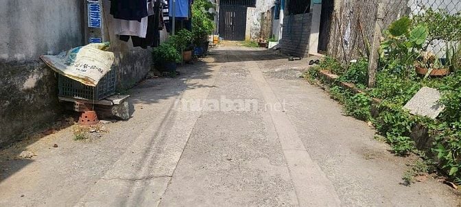 Chủ gửi bán gấp đất 131m2 (ngang 8m) SHR 1t880, Tân Xuân, Hóc Môn