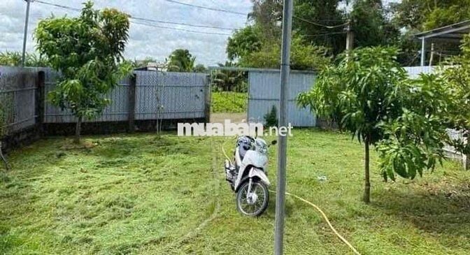 Chủ đất làm ăn thua lỗ nợ ngân hàng nên cắt lỗ 150tr để bán nhanh miến