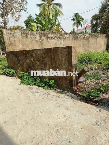 Ban đat phuong hung đinh , thuan an binh duong ,gan cho bung