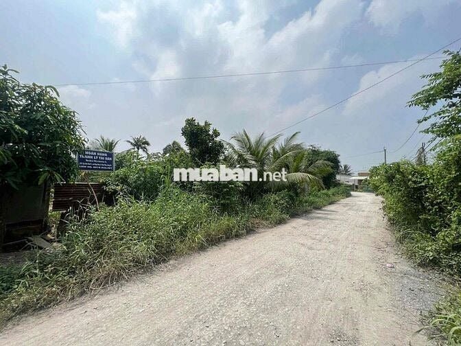 Bán bất động sản tại xã Hiệp Hoà, huyện Đức Hoà, tỉnh Long An, giá 1.1