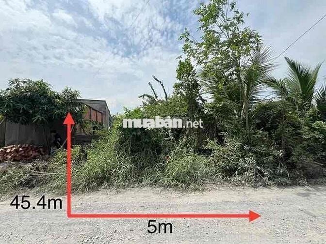 Bán bất động sản tại xã Hiệp Hoà, huyện Đức Hoà, tỉnh Long An, giá 1.1