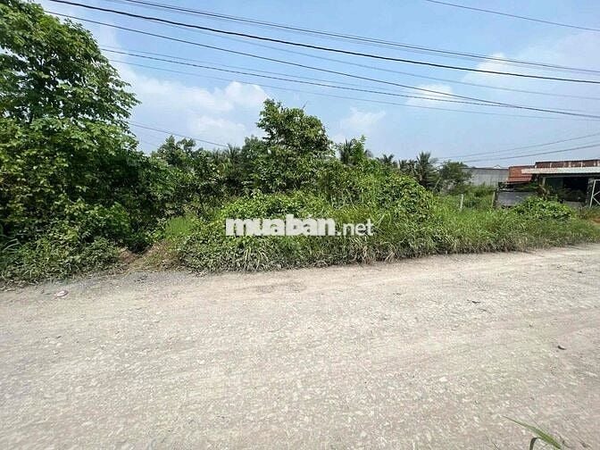 Bán bất động sản tại xã Hiệp Hoà, huyện Đức Hoà, tỉnh Long An, giá 1.1