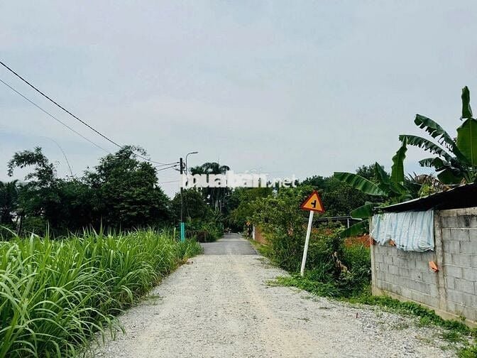 Bán gấp đất thổ cư 126m2 giá 650triệu đường Basa xã Phước Hiệp Củ Chi