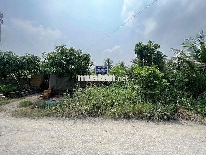 Bán bất động sản tại xã Hiệp Hoà, huyện Đức Hoà, tỉnh Long An, giá 1.1