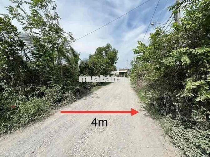 Bán bất động sản tại xã Hiệp Hoà, huyện Đức Hoà, tỉnh Long An, giá 1.1