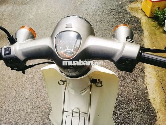 Cub 50.2022.BSTP CHÍNH CHỦ.