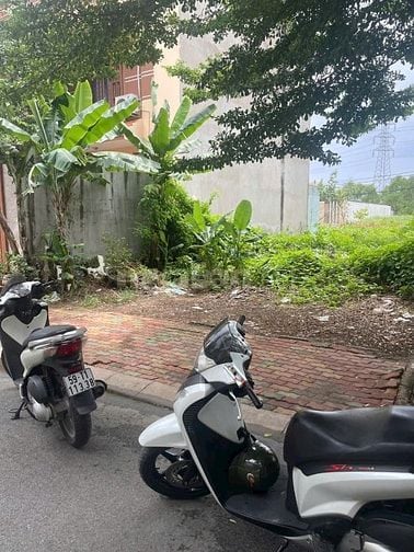 Nhà vườn khu dân cư đường đào sư tích 