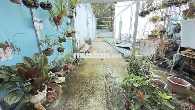 Đất thổ cư mặt tiền Tân Xuân 7, SHR, 4m x 20m, 4.2 tỷ