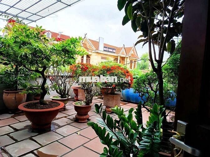 BIỆT THỰ KIỂU ÚC_ NGUYỄN THỊ BẢY _ BÀ ĐIỂM