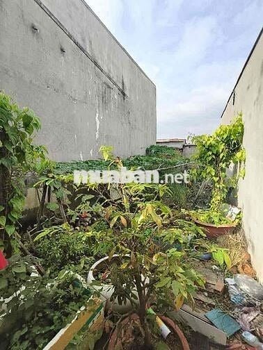 ĐẤT THỔ CƯ (4x16), NGUYỄN BÌNH, NHÀ BÈ, CHỈ NHỈNH 2Tỉ (VAY BANK 1,5Tỉ)