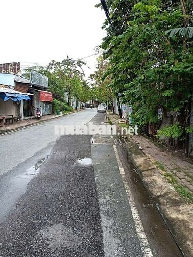 BIỆT THỰ KIỂU ÚC_ NGUYỄN THỊ BẢY _ BÀ ĐIỂM