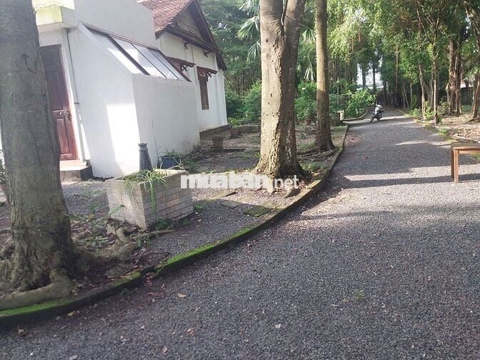 BÁN NHANH LÔ ĐẤT GIÁ TỐT CHÍNH CHỦ BÁN TẠI Xã Tân Thông Hội,Củ Chi,HCM