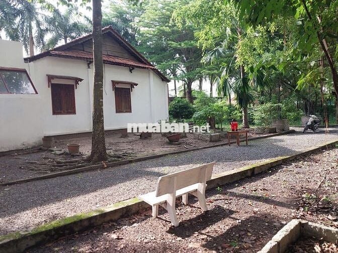 BÁN NHANH LÔ ĐẤT GIÁ TỐT CHÍNH CHỦ BÁN TẠI Xã Tân Thông Hội,Củ Chi,HCM