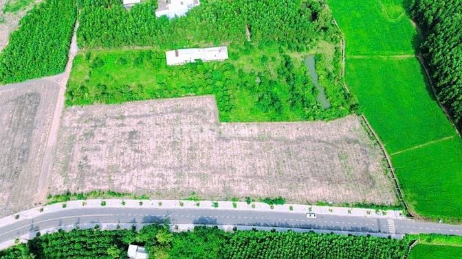 Bán đất xuyên mộc gần 1.3 ha - có sẵn thổ cư 200m2, 85 mặt tiền nhựa