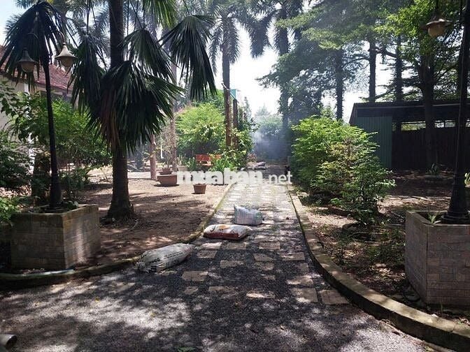 BÁN NHANH LÔ ĐẤT GIÁ TỐT CHÍNH CHỦ BÁN TẠI Xã Tân Thông Hội,Củ Chi,HCM