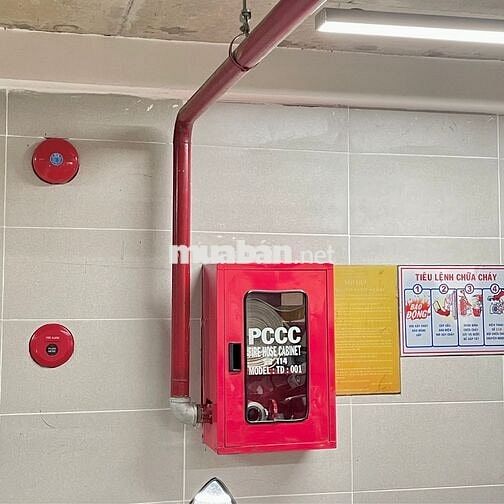 Văn Phòng Cho Thuê View 2 Mặt Tiền, DT 232m2/79tr, Hỗ Trợ Pháp Lý A-Z