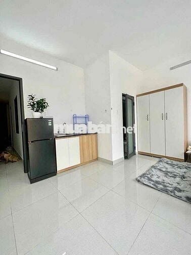 Cho Thuê Căn Hộ Chung Cư Mini Ban Công Ngay Cầu Ông Lãnh Quận 1 Giá Rẻ