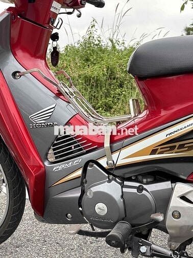 Bán fu neo xc đời 2010