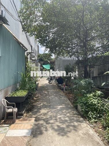 Sang lại 2 lô đất thổ cư hẻm 2m Huỳnh Tấn phát Nhà Bè cách q7 2km