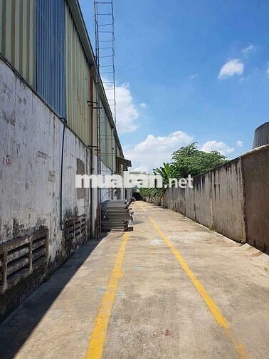 Cần bán xưởng 16300m2 tại Khánh Bình Tân Uyên Bình Dương