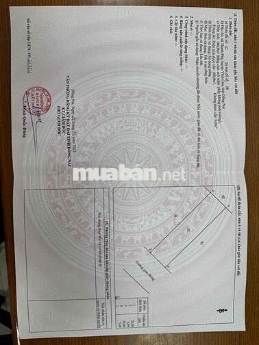 Cần bán gấp lô đất Lavender Tân Triều - Giá bao rẻ